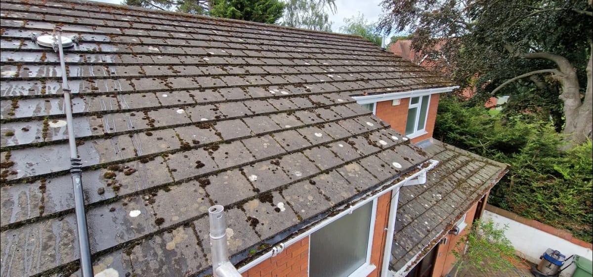 Roof Cleaning