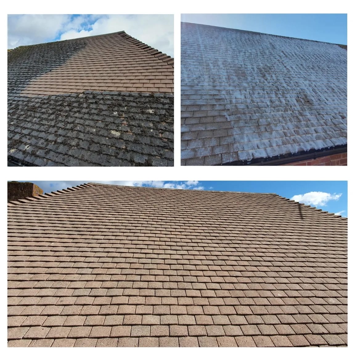 Roof Cleaning
