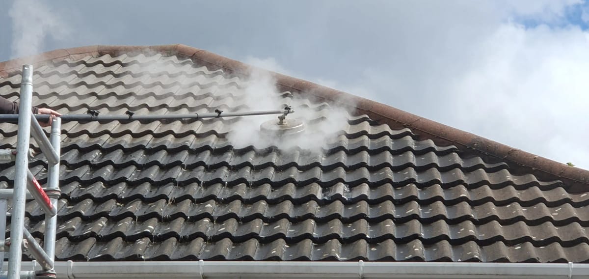 Roof Cleaning