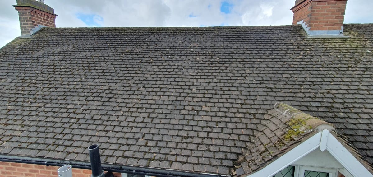 Roof Cleaning