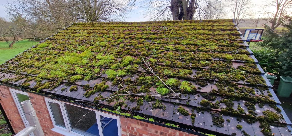 Roof Cleaning Before