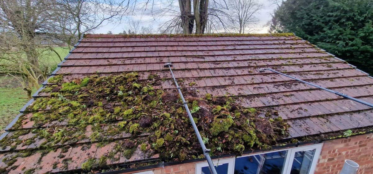 Roof Cleaning During