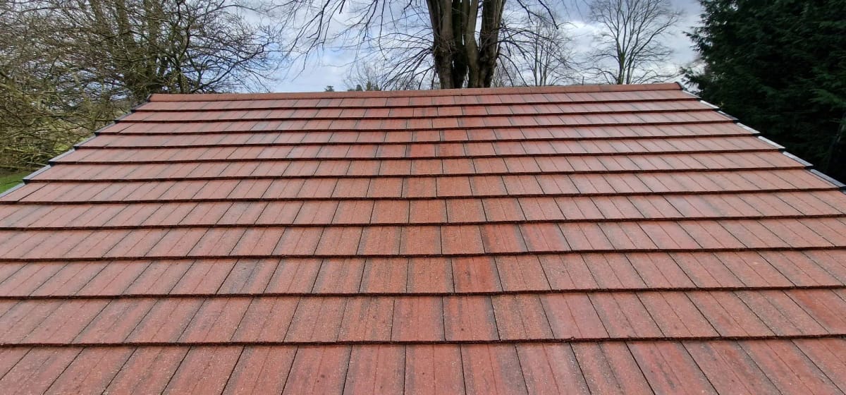 Roof Cleaning After