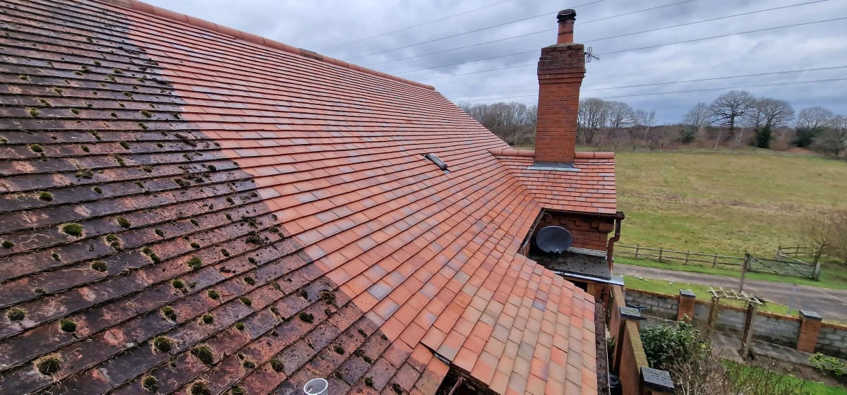 Roof Cleaning