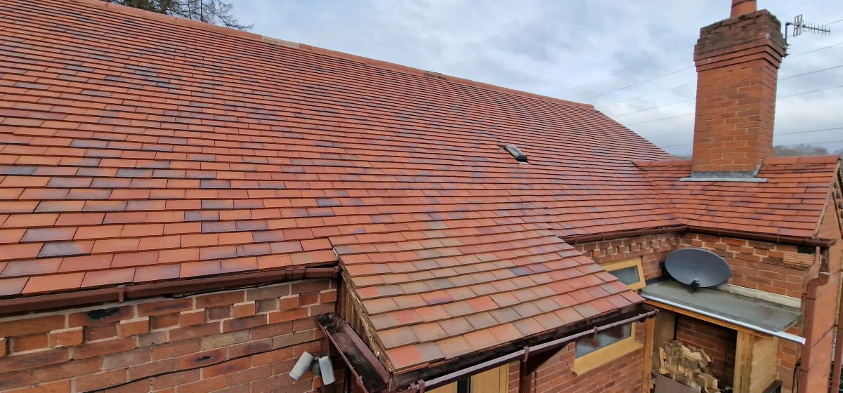 Roof Cleaning