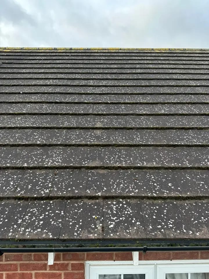 Roof Cleaning