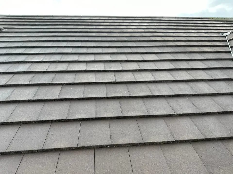Roof Cleaning